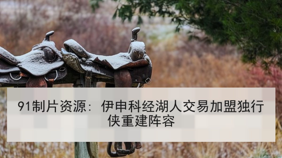 91制片资源: 伊申科经湖人交易加盟独行侠重建阵容