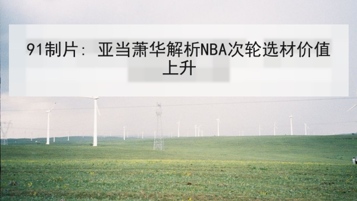 91制片: 亚当萧华解析NBA次轮选材价值上升