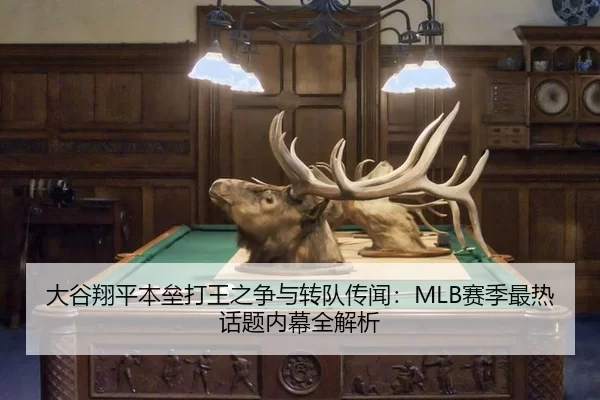 da-gu-xiang-ping-ben-lei-da-wang-zhi-zheng-yu-zhuan-dui-chuan-wen-sai-ji-zui-re-hua-ti-nei-mu-quan-jie-xi-3-427.jpg