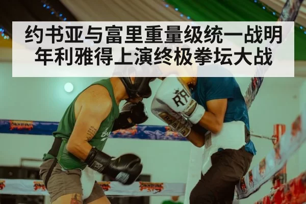 约书亚与富里重量级统一战明年利雅得上演终极拳坛大战